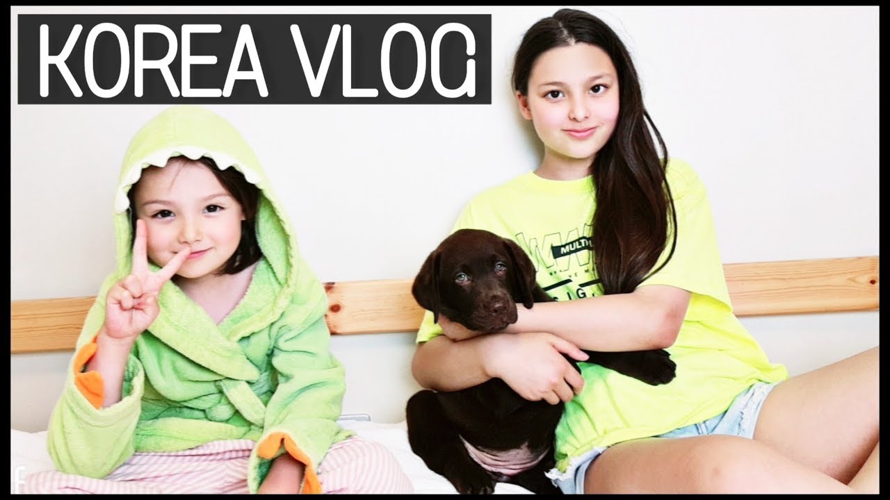 Мечта Софии сбылась! / KOREA/ VLOG/