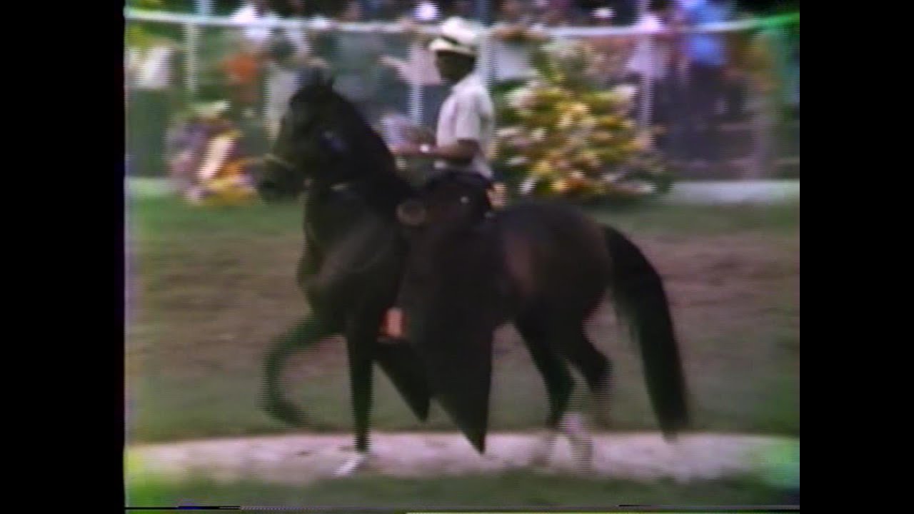 Electra, Caribesa & Arquera - Yeguas de Troche, Asdesilla 1980