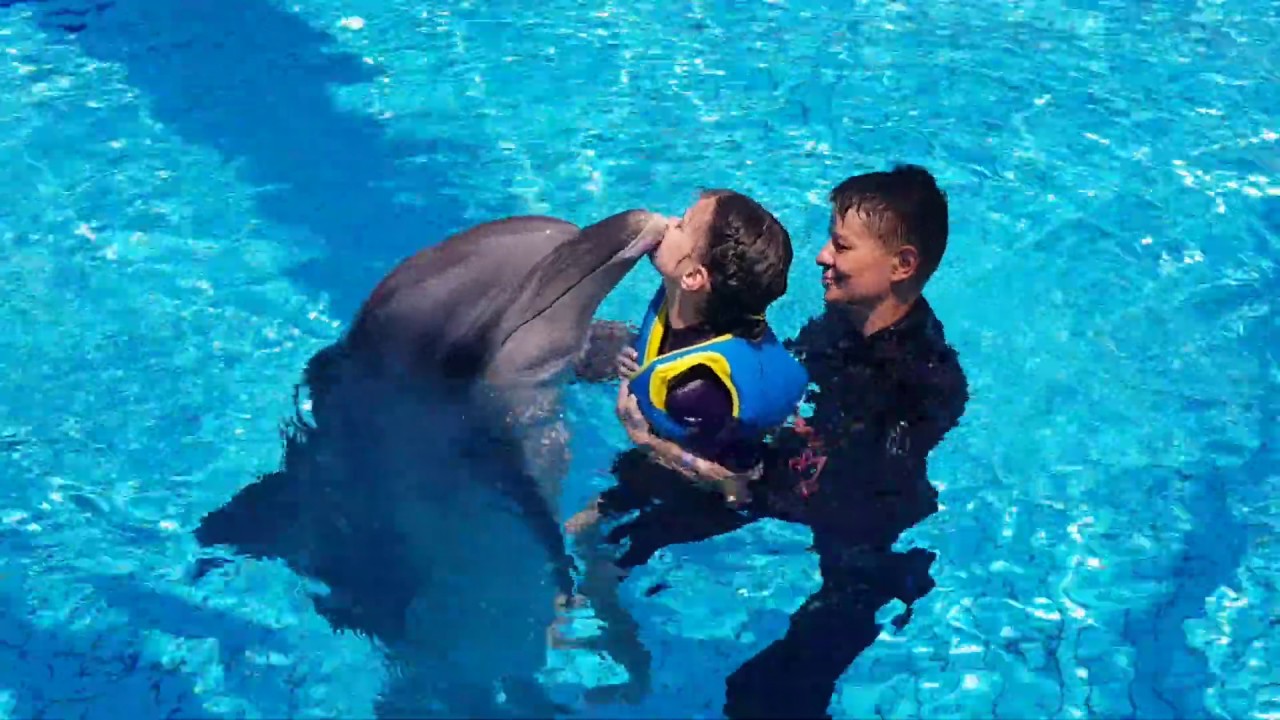 Kissing with the dolphin - Przytulanie z delfinem