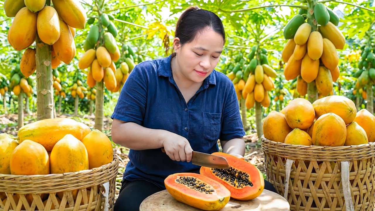 自然の甘さ🍈パパイヤ料理で楽しむお昼ごはん🍽️