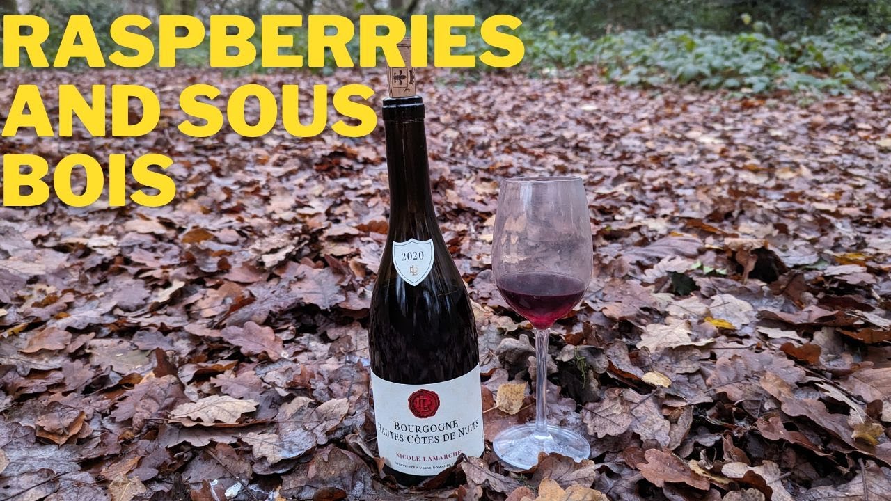 Nicole Lamarche Bourgogne Hautes Cotes de Nuits 2020