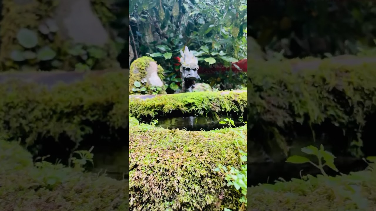 A Tranquil Japanese temple in rural Osaka #japanesetemple #japantrip