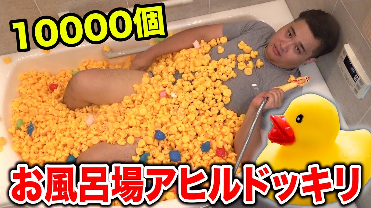10000個のアヒルがいきなりお風呂場にあるドッキリを妻と仕掛けてみたwww