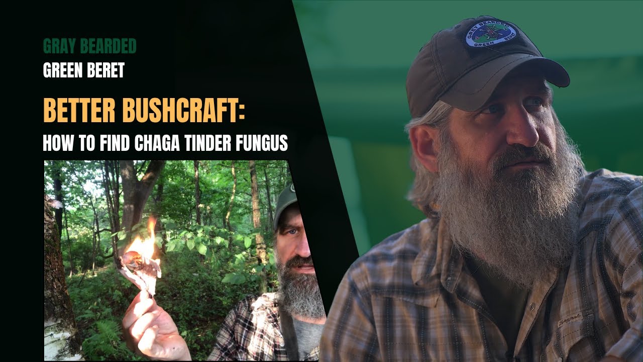 Finding Chaga Tinder Fungus in the Wild