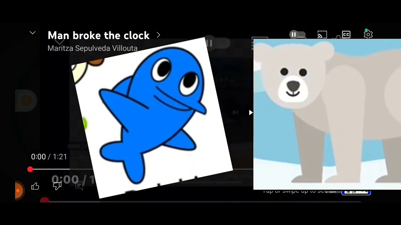 dolphin broke the clock