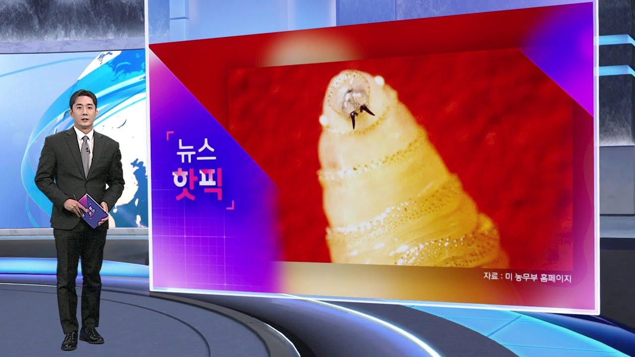[뉴스핫픽] 