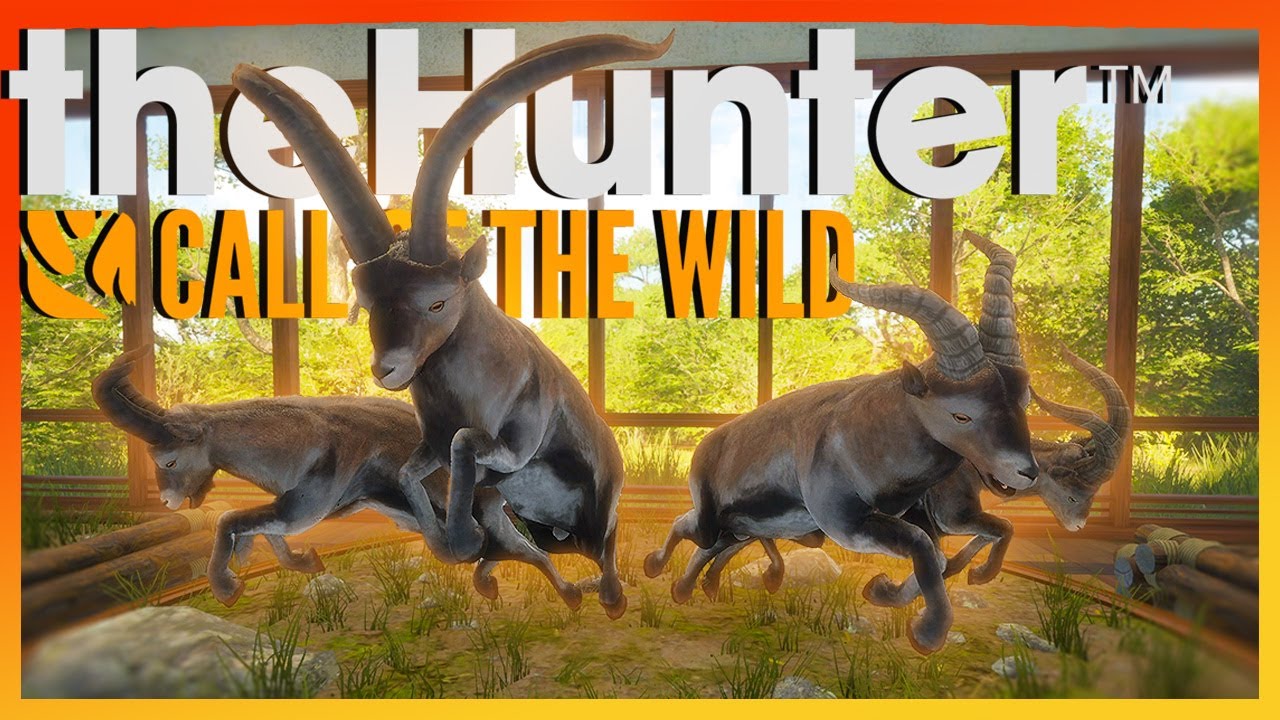 The Grand Slam (Trophy Multi Mount Series) - theHunter: Call of the Wild