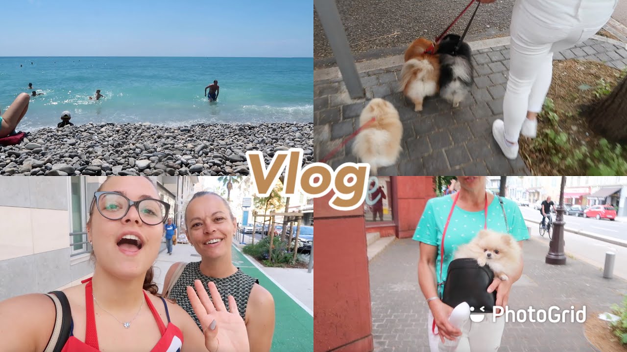 Vlog - kupamo se, trzaim novi stan, setamo kuce...
