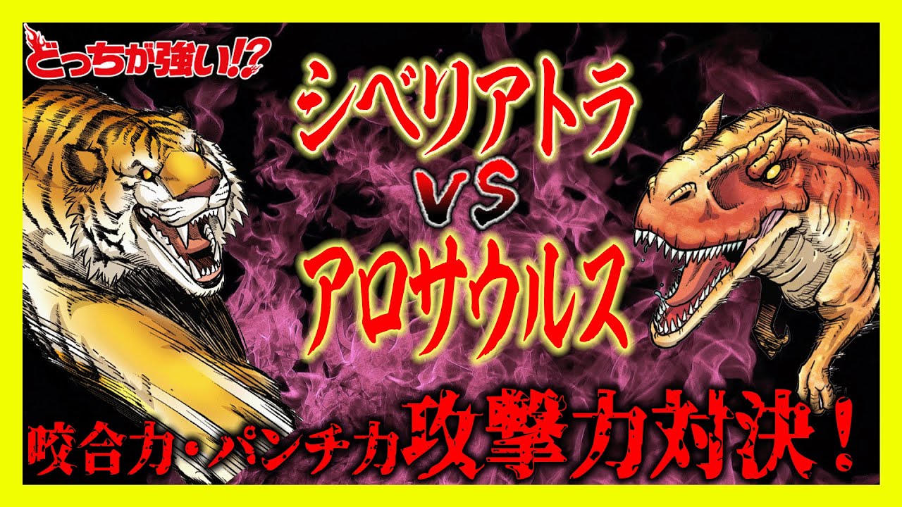 【どっちが強い】動物vs恐竜！シベリアトラとアロサウルスが対決！咬合力！パンチ力！壮絶な戦いの結果とは？勝つのはどっち！【漫画】