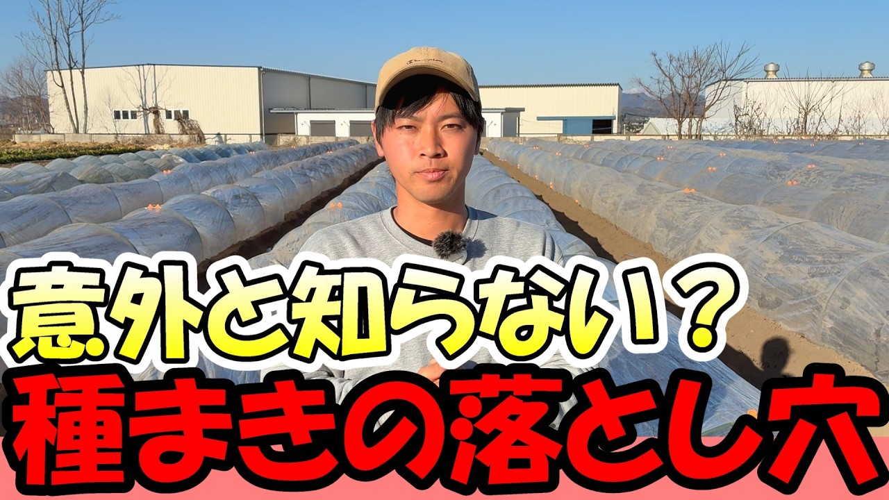 【家庭菜園】特に初心者の方は注意して！意外と知られていない種まきの落とし穴はこれ。