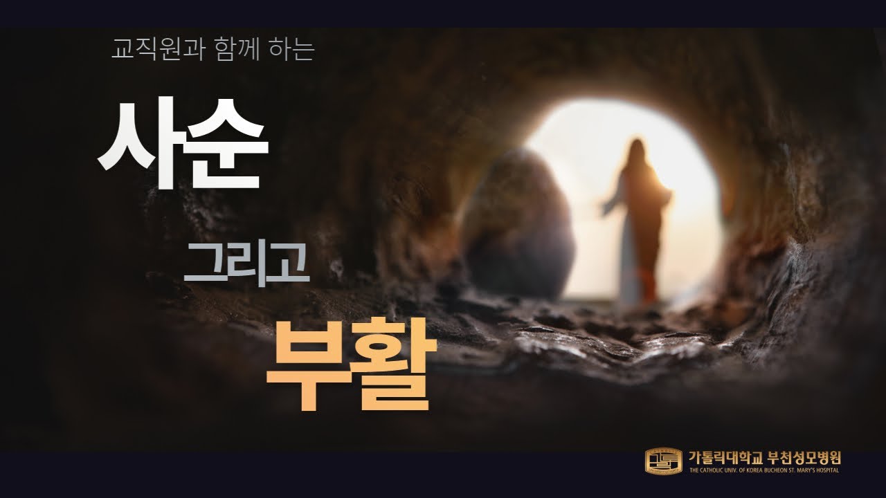 부천성모병원 교직원과 함께 하는 2025 사순부터 부활까지 전례 여정