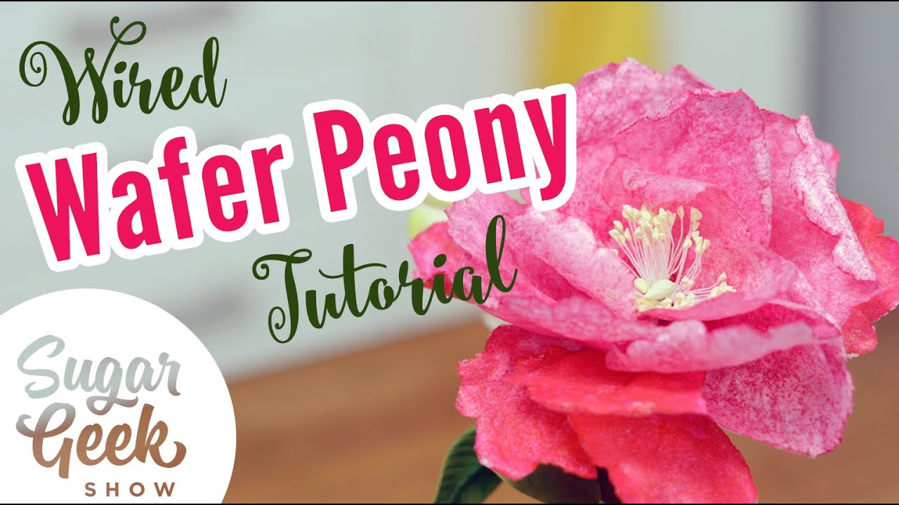 Wired Wafer Paper Peony