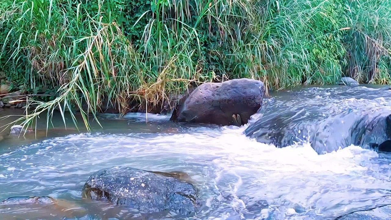 Natural River Water for Night Serenity
