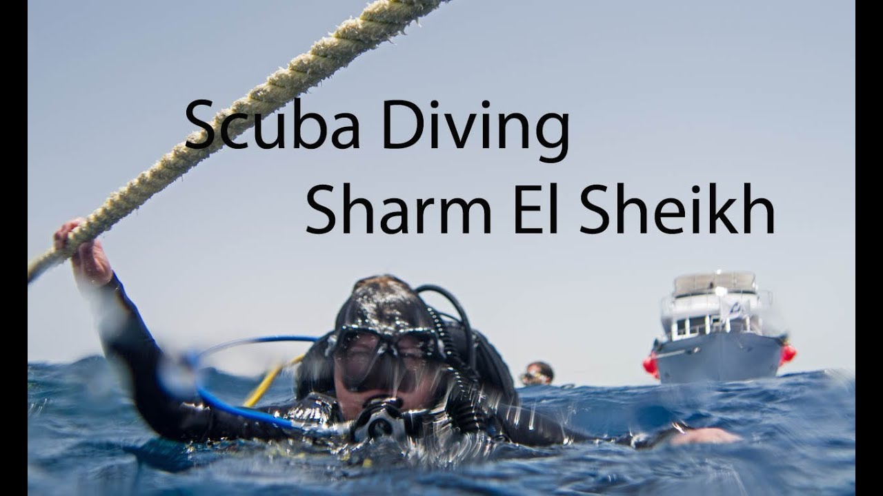 Scuba Diving - Dykning - Sharm El Sheikh [2018]