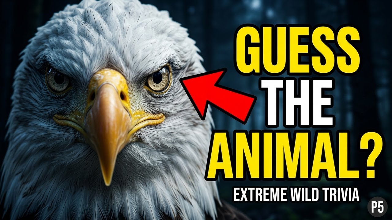Can You Pass This EXTREME Animal Quiz? 🐾
