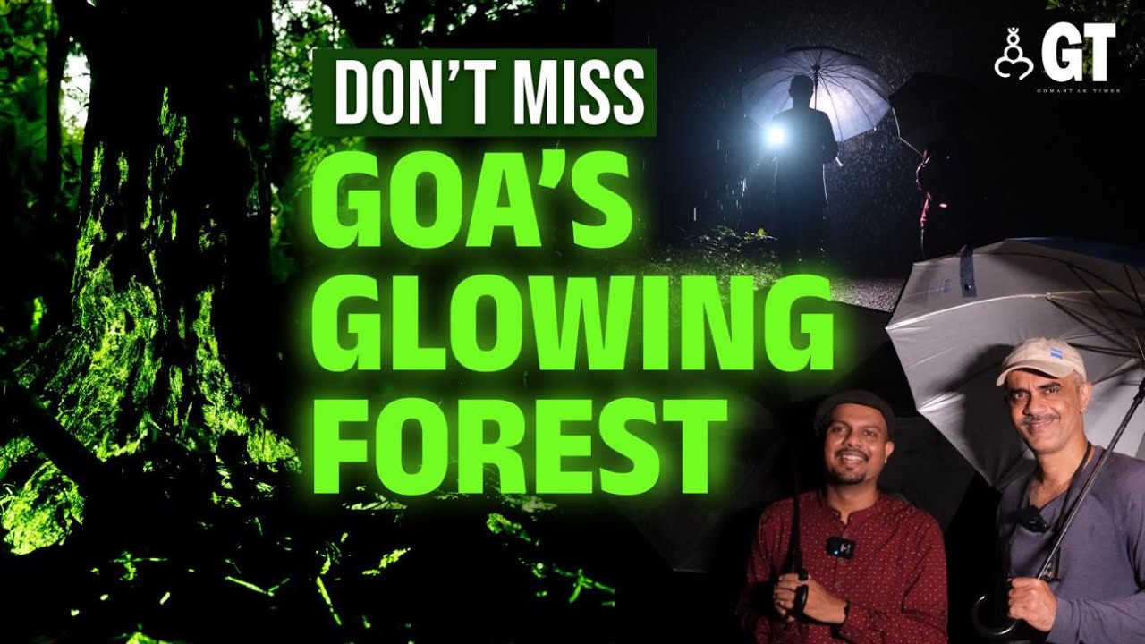 Glowing Forest in Goa | Must-Visit Monsoon Places in Goa | Bioluminescent | Goa | Gomantak Times |