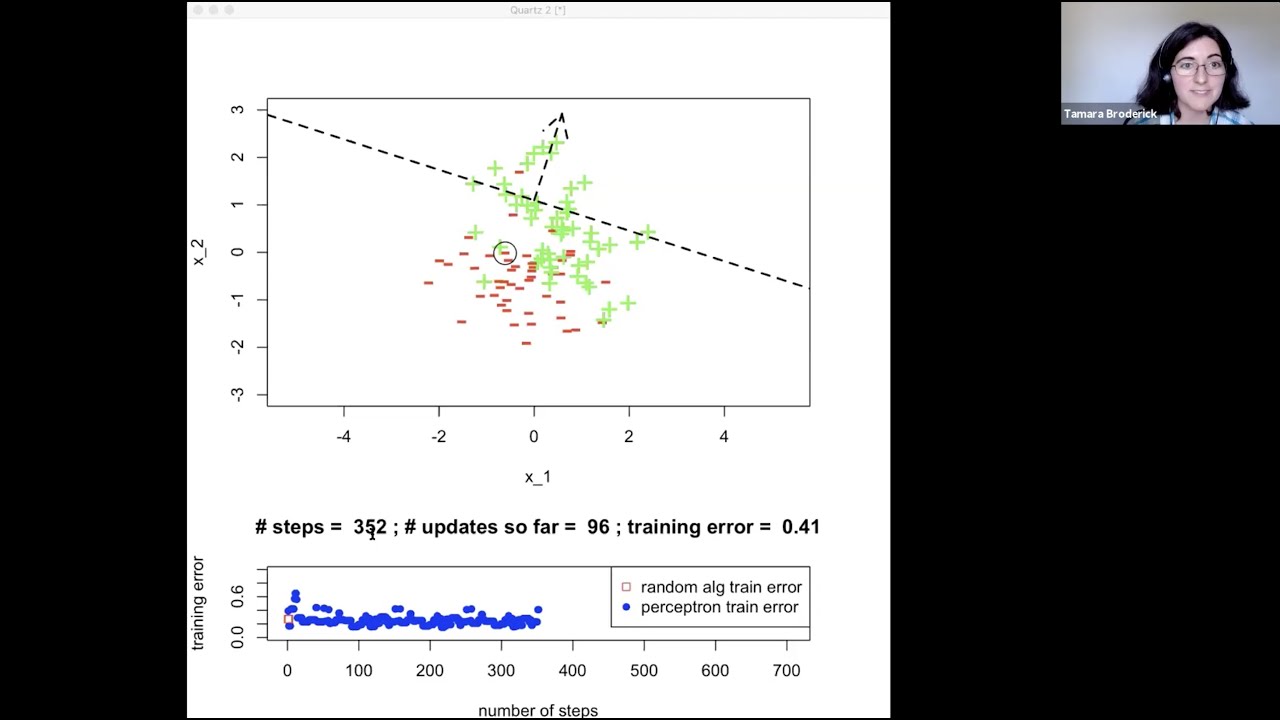 MIT: Machine Learning 6.036, Lecture 2: Perceptrons (Fall 2020)