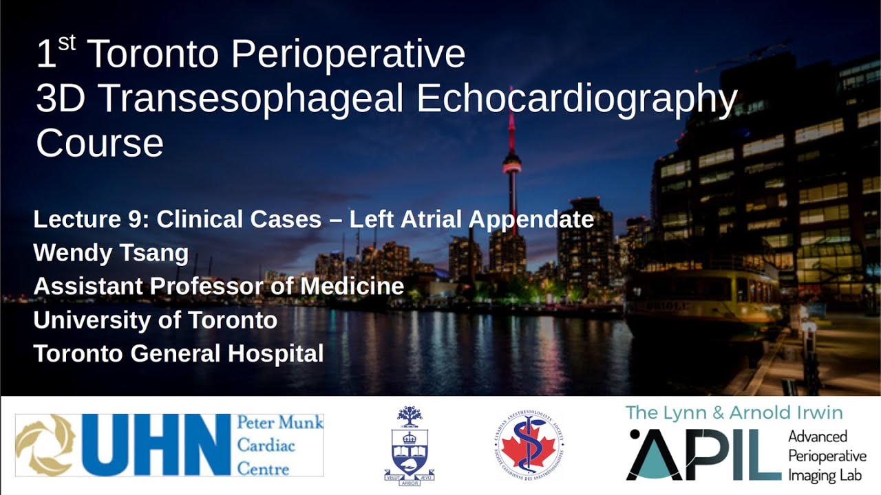 9 Tsang - 2019 - Cases: LAA. Toronto Perioperative 3D TEE Course 2019