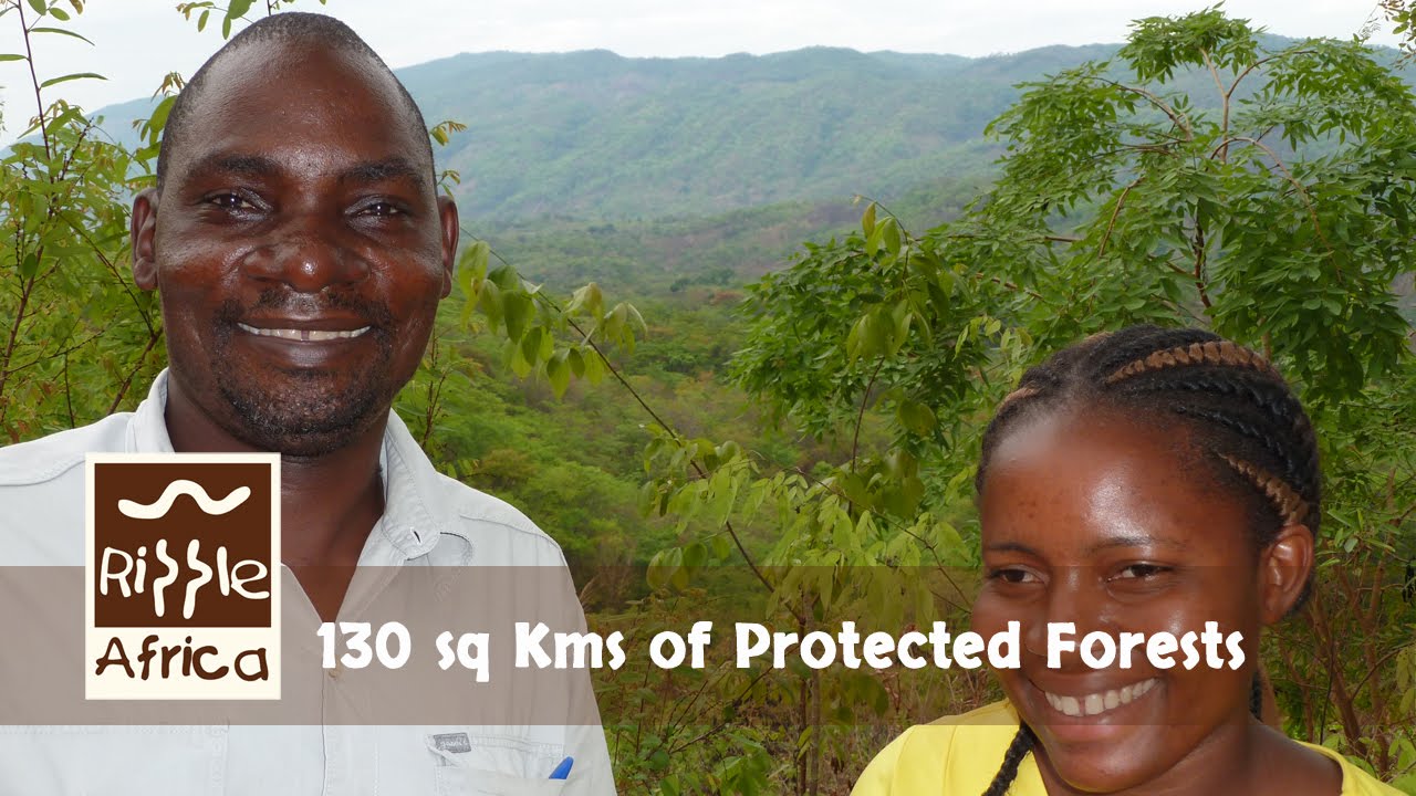 Kandoli Forest Conservation Project, MALAWI - RIPPLE Africa
