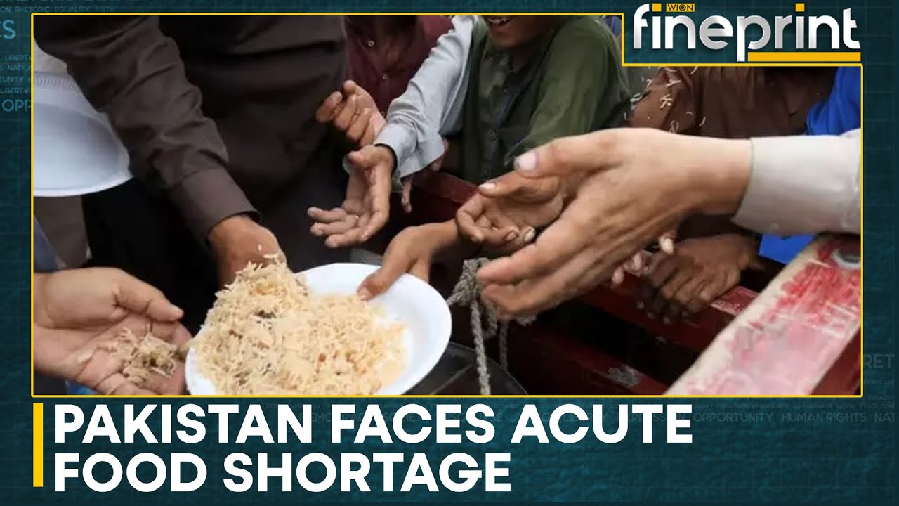 Pakistan Faces Acute Food Shortage, 11 Million People At Hunger Risk | WION Fineprint