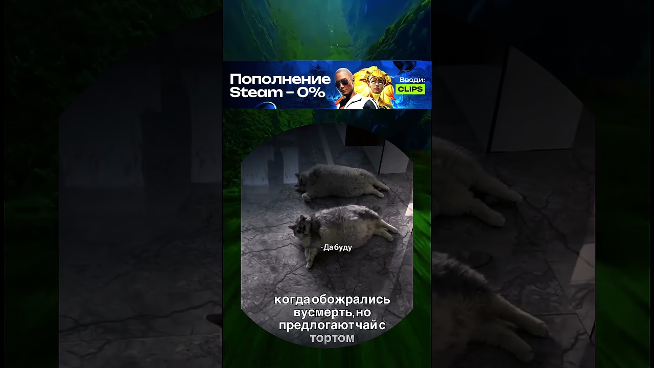 Приколы #мемы  #fyp  #youtube  #shorts  #юмор  #приколы  #мем  #мемы  #смешныевидео
