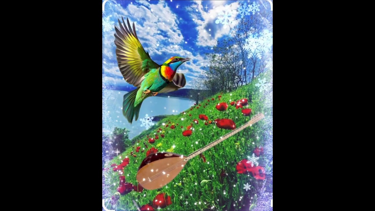 Yar elinden yarası var gönlimün(kul himmet)@ANADOLU TÜRKÜSÜ