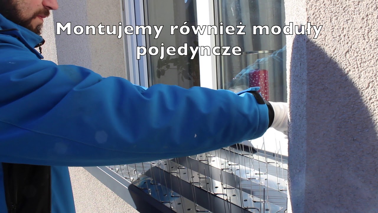 Ochrona Przed Ptakami - Montaż Kolców