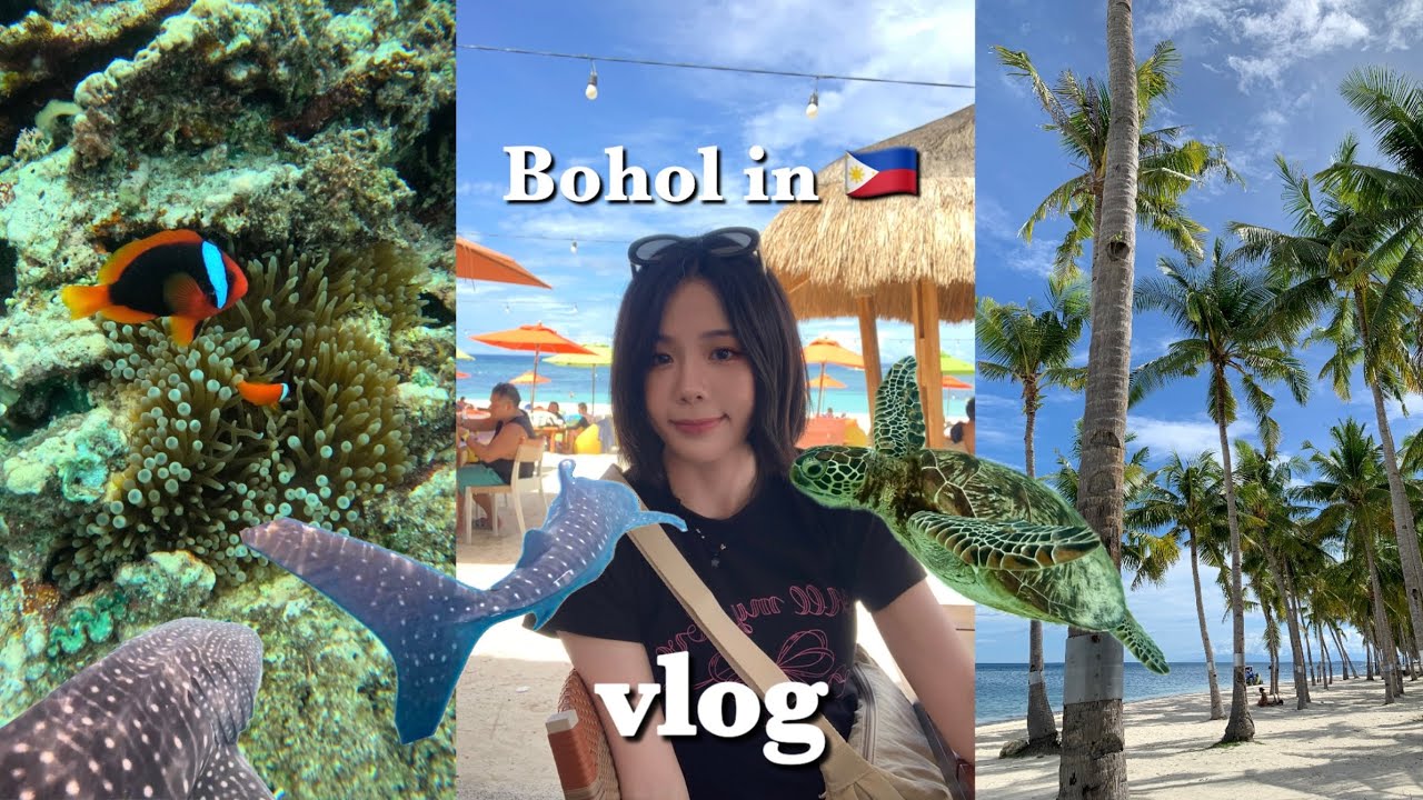 보홀 3박5일 🇵🇭 투어에 미쳐벌인 여행 vlog | 반딧불투어 | 나팔링투어 🐟 | 발리카삭 호핑 🐢 | 고래상어 🦈 | 스노클링 🤿 | 맛집 🍽️ | 마사지샵 추천