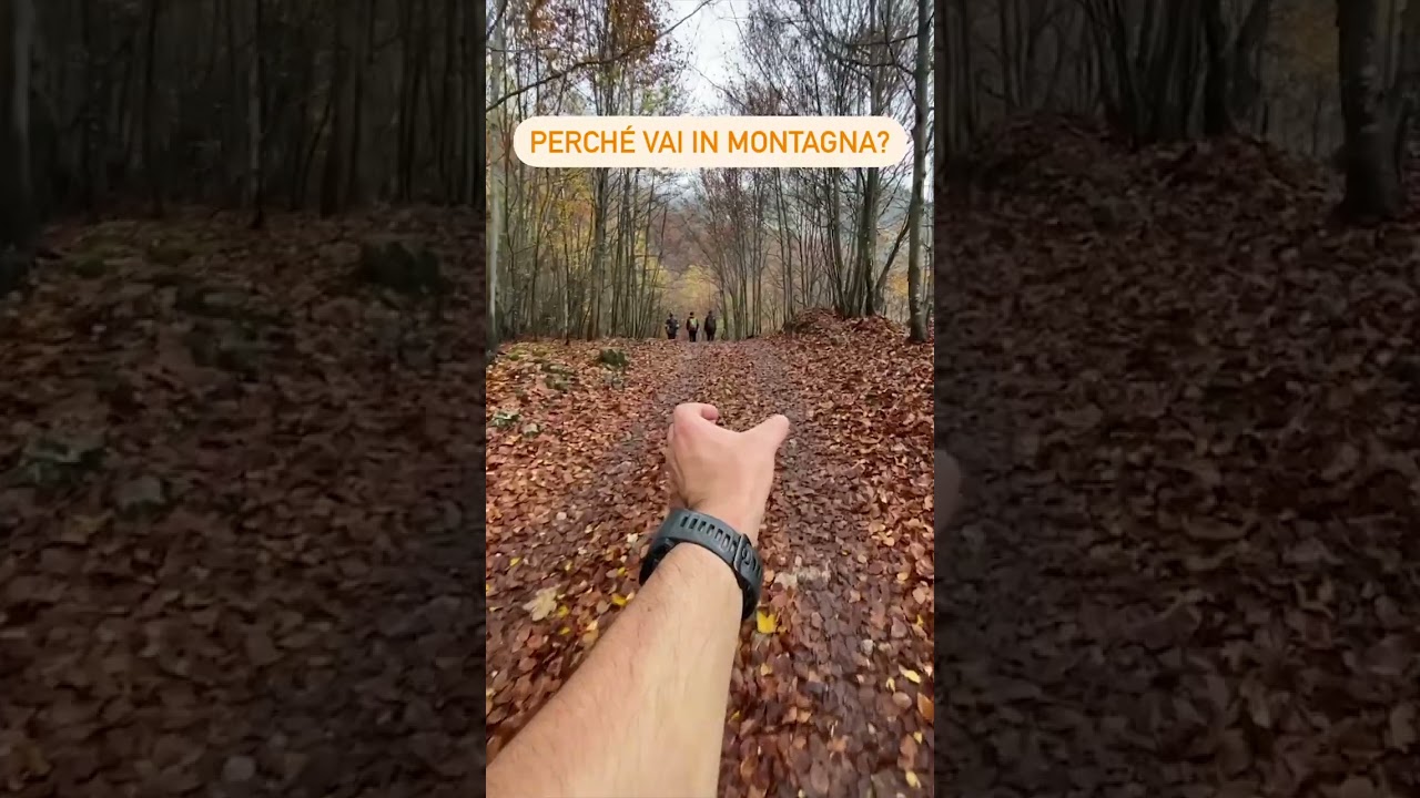 Perché vai in montagna? Per bere birra