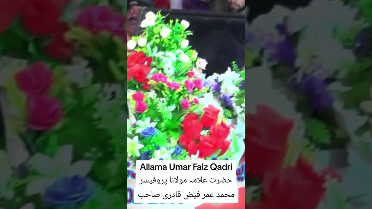 پروفیسر محمد فیض قادری صاحب کا بیان پردہ کے بارے میں 