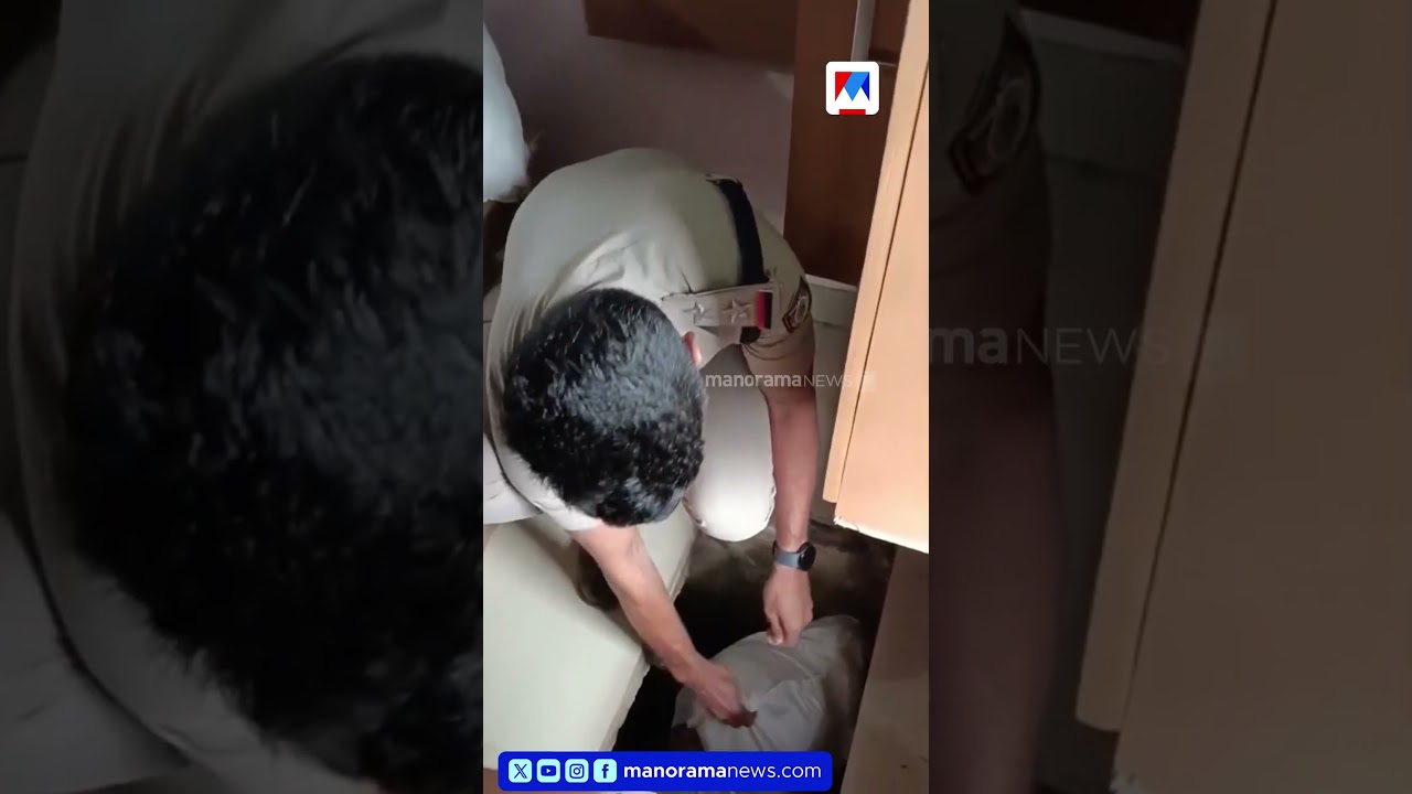 അലമാരയ്ക്ക് താഴെ തുരങ്കം പോലുള്ള രഹസ്യ അറ; ബത്തേരിയിൽ വൻ ഹാൻസ് വേട്ട #OperationToofan #HansSeizure