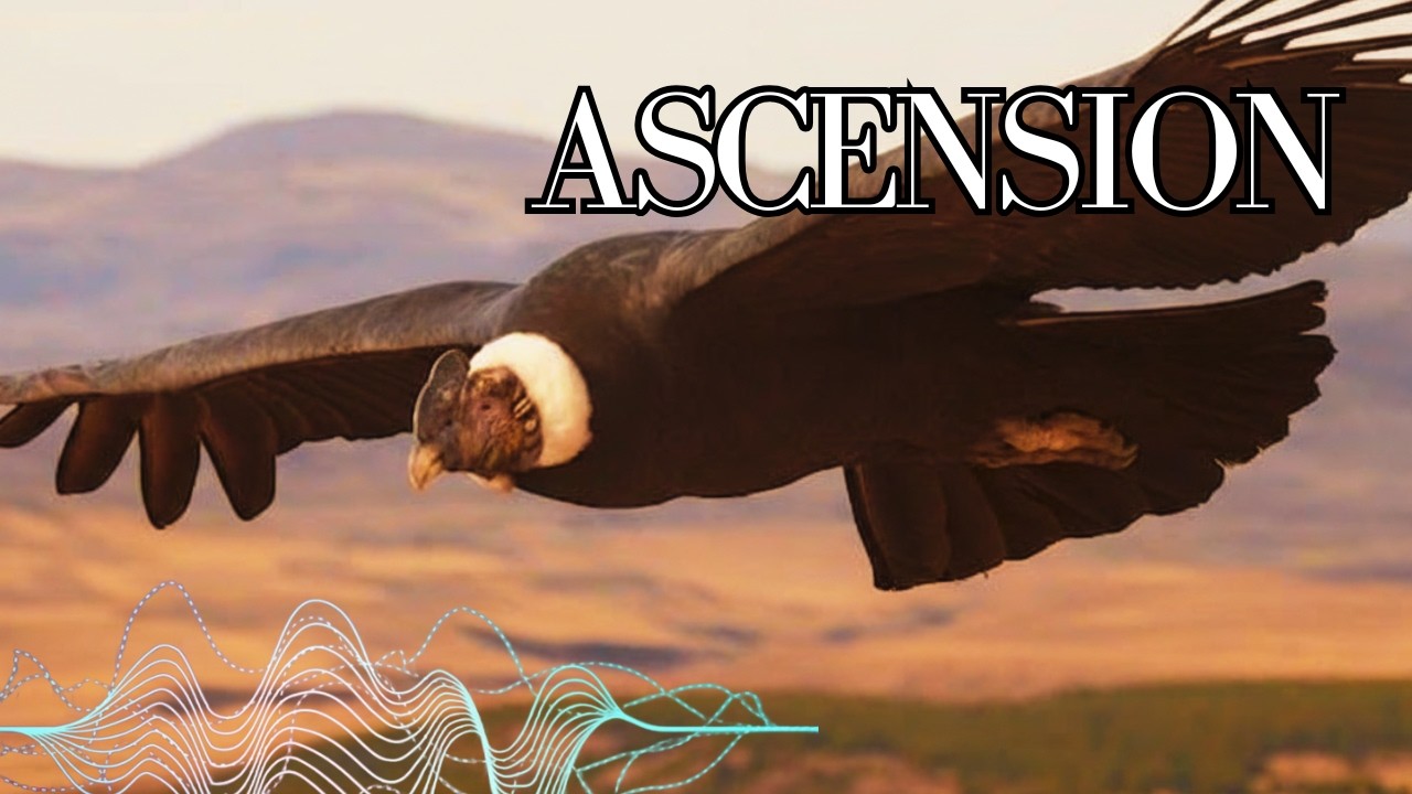 Ascend to Higher Dimensions: Spirit of the Condor (963Hz Frequency) 🦅