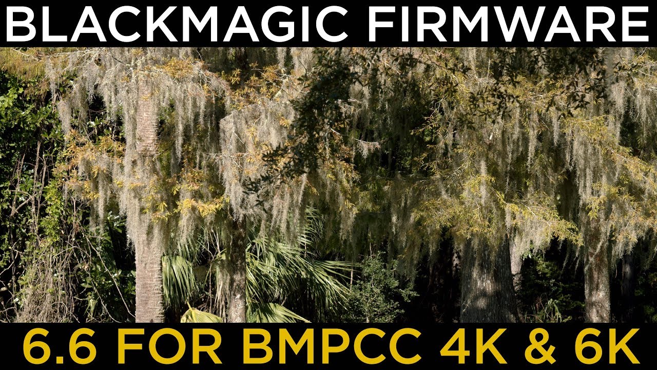 BMPCC 4K/6K UPDATE | Firmware 6.6 | 4K75p + 2.6K 120p Footage