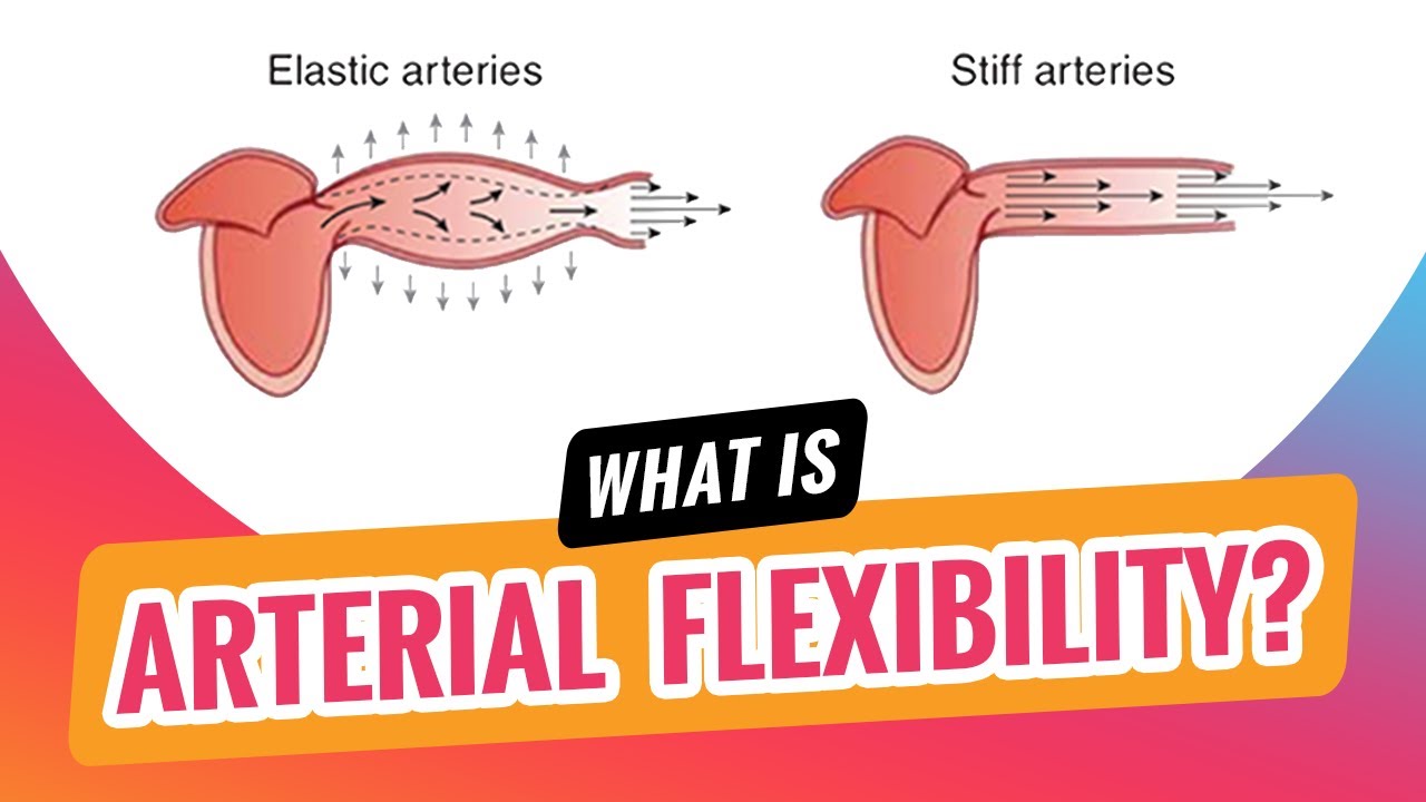 What Is Arterial Flexibility? | Whitney Johns w/ Dr. Kahn