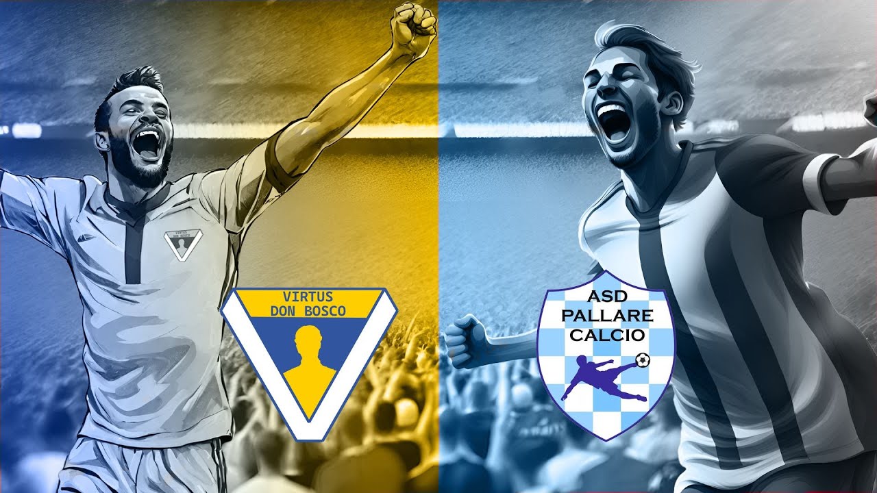 Highlights VirtusDB - Pallare 10/03/2024