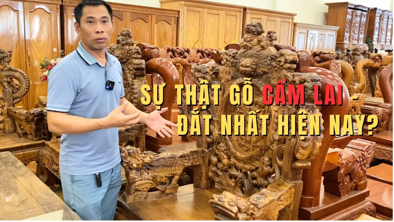 Sự Thật Về Gỗ Cẩm Lai – Vì Sao Loại Gỗ Này Cực Kỳ Quý Hiếm & Đắt Đỏ?