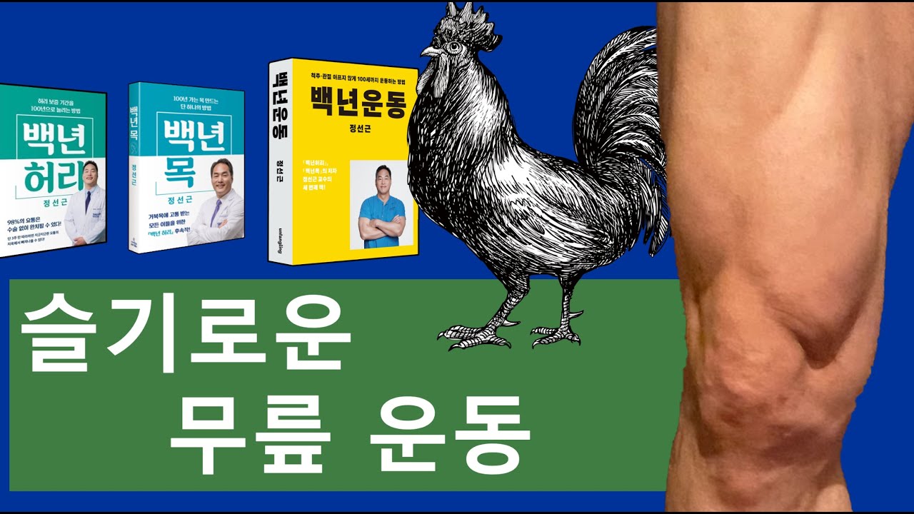 슬기로운 무릎 운동