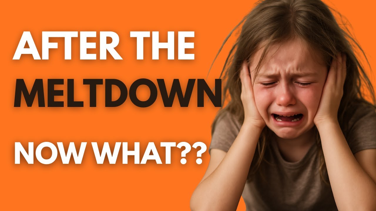 Your Child Just Had a Meltdown… Here’s What To Do Next?