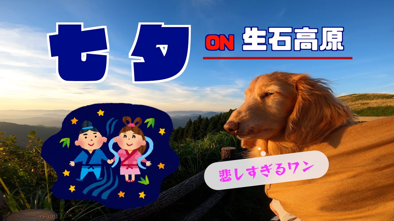 【生石高原】 七夕 天の川 夏の大三角 星空撮影に初挑戦