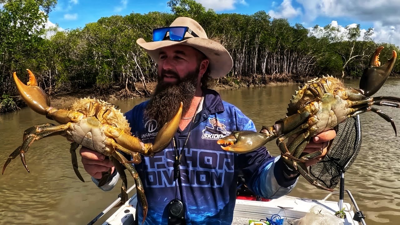 Best Bait For Mud Crabs? Chicken VS Mullet  #mudcrab #crab #skidpig