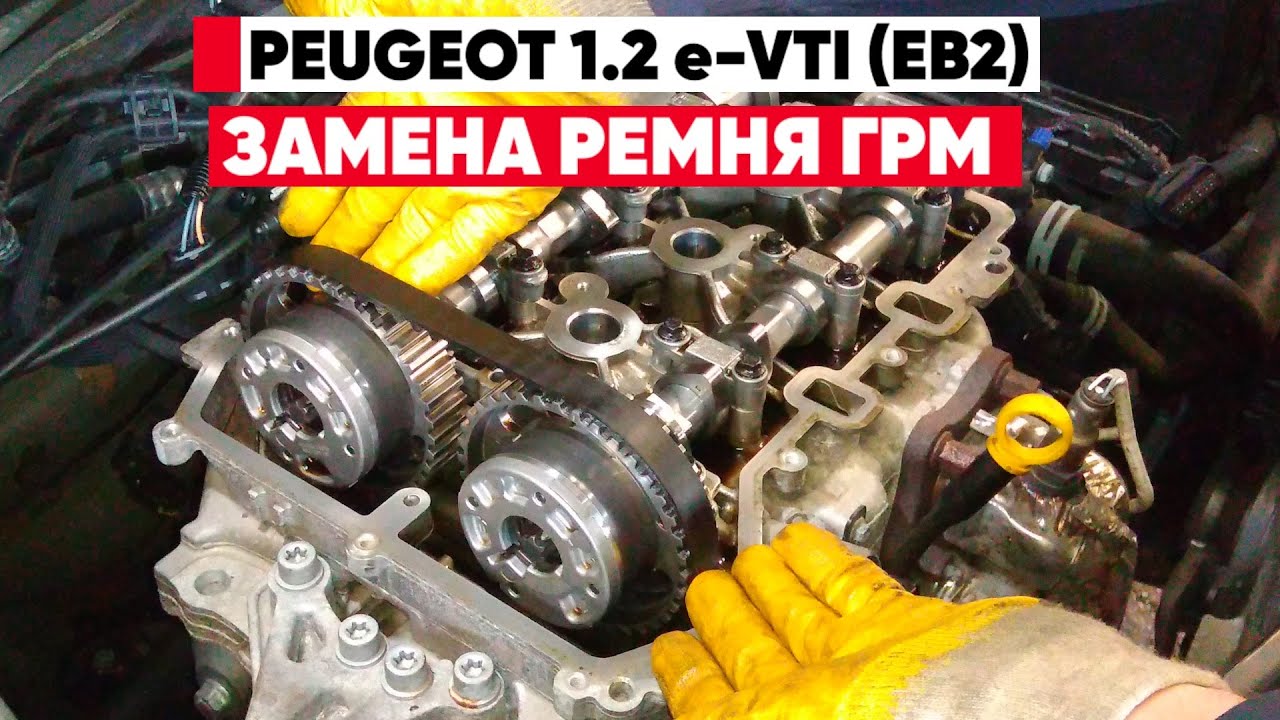 1.2 e-Vti EB2 с Мокрым Ремнём! Почему Его Надо Менять Уже на 50 000 км? ЗАМЕНА РЕМНЯ ГРМ на Peugeot