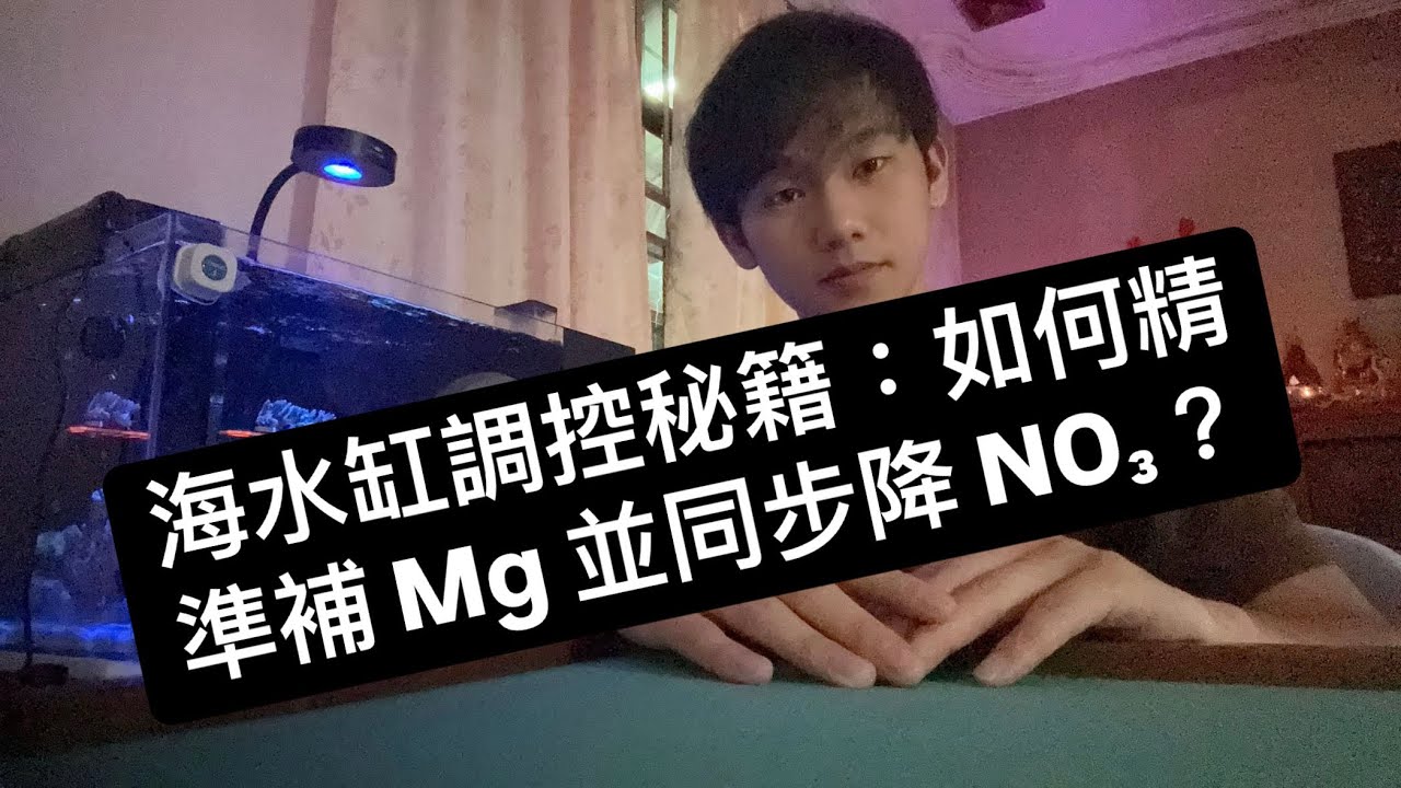 海水缸調控秘籍：如何精準補 Mg 並同步降 NO₃？ #推薦 #海水缸 #海水魚 #生活 #珊瑚