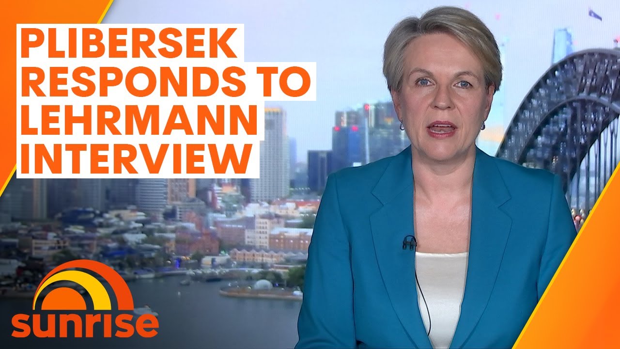 Tanya Plibersek responds after being named in Lisa Wilkinson's tapes with Brittany Higgins
