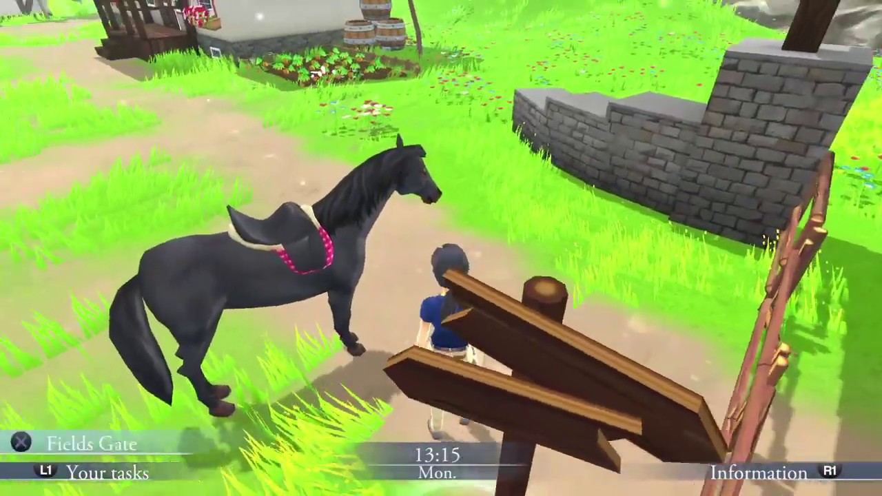 My Riding Stables: Life with Horses (PS4) How to Ride White Horses | Tutorial | Terrence Briggs