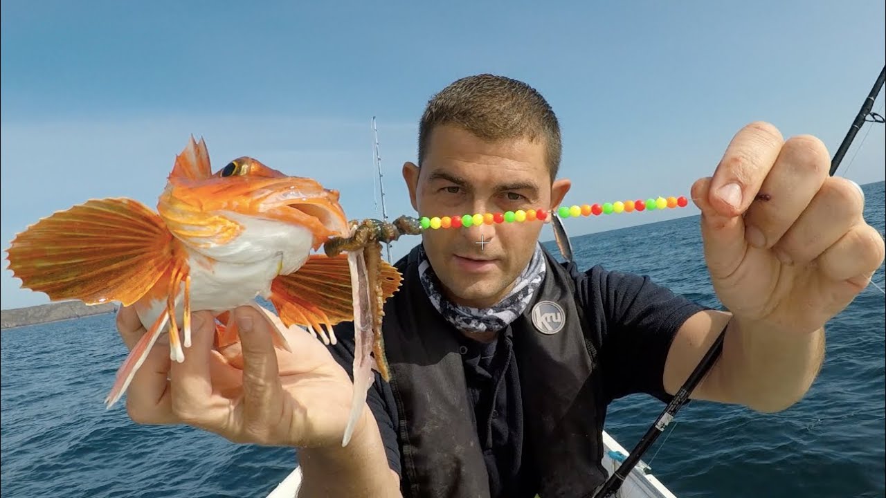 Sea Fishing UK - Mixed Species Day - Cod, Gurnard, Mackerel and more.