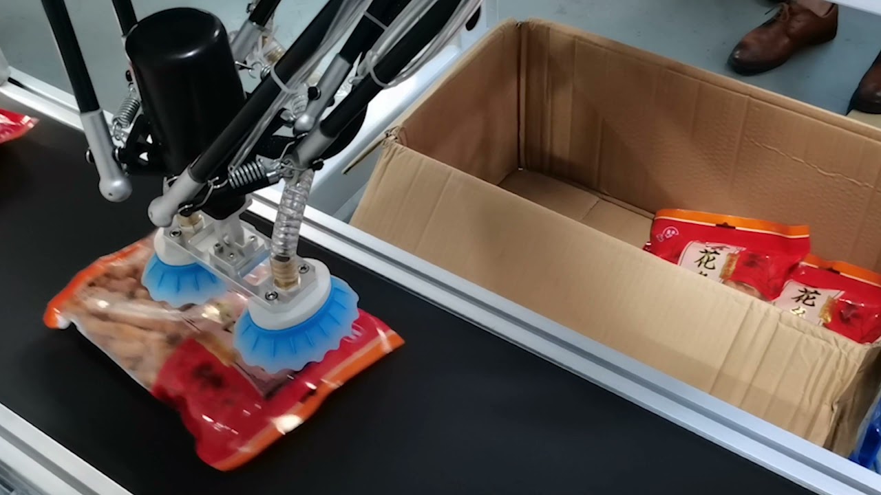 Top Load Case Packer with Delta Robot
