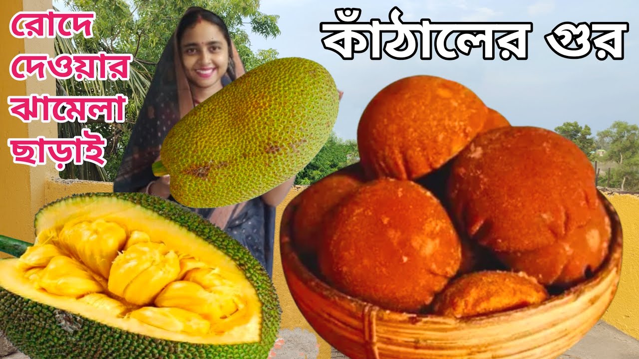 রোদ ছাড়াই বাড়িতে পারফেক্ট কাঁঠালের গুড় তৈরির সহজ পদ্ধতি || Jackfruit jaggery making process