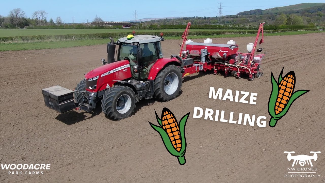 WHITTINGHAMS CONTRACTORS - MAIZE DRILLING - 2021