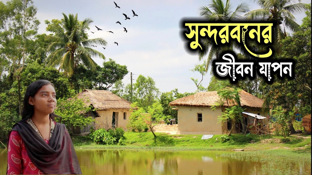 সুন্দরবনের গ্রামের জীবনযাপন ।  Real Life of Sundarban Village । গ্রামের অপরূপ সৌন্দর্য ।