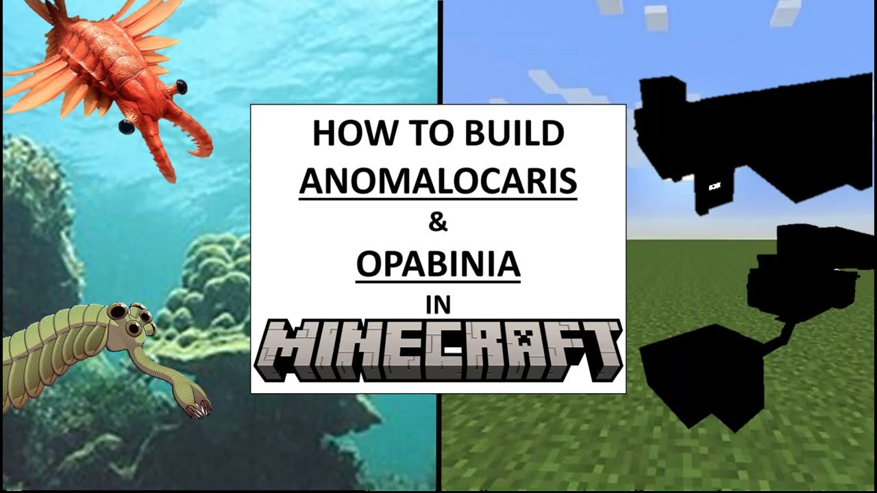 How to build Anomalocaris and Opabinia in Minecraft